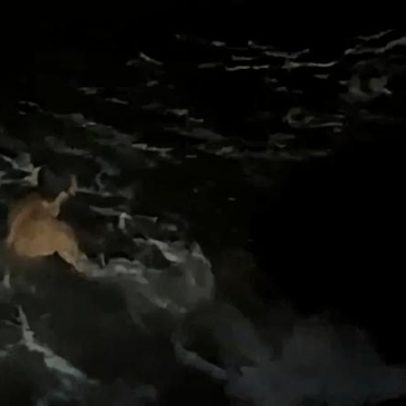 Motorista de carro roubado pula no mar para fugir da PM e é preso