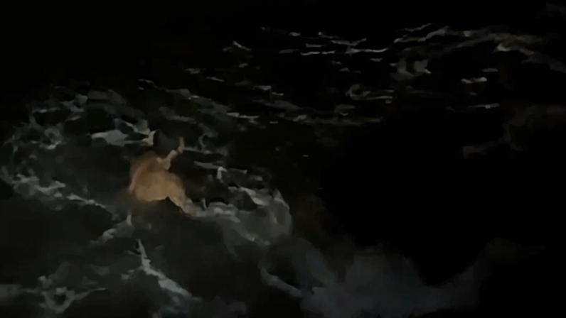 Imagem colorida, Motorista de carro roubado pula no mar para fugir da PM e acaba preso- Metrópoles
