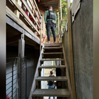 Médico falsificava atestados para liberar detentos em presídio de SC, diz MP