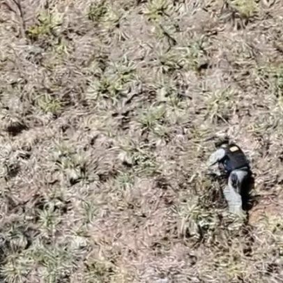 Mulher é encontrada viva após feminicídio na Serra do Rola Moça; suspeito é preso