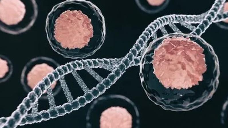 Multômica é a integração de diferentes componentes moleculares, como DNA, RNA, proteínas e metabolismo