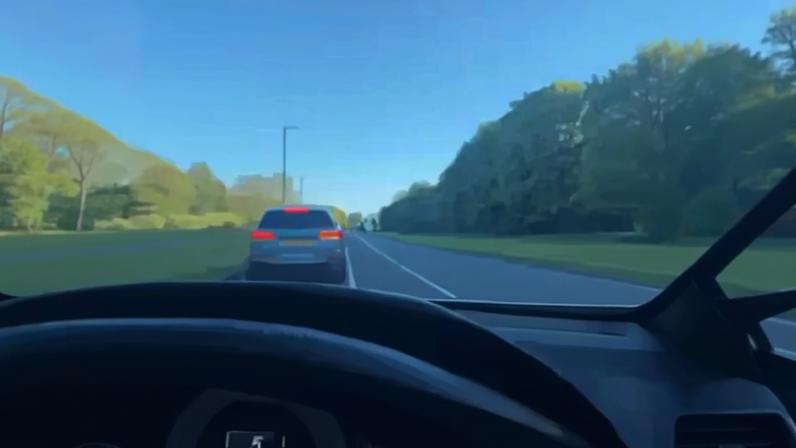 Descontrolado, o cavalo chou-se diretamente em carro de luxo em rodovia