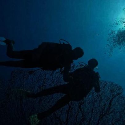 Vídeo revela caverna dos tubarões onde cinco mergulhadores italianos morreram