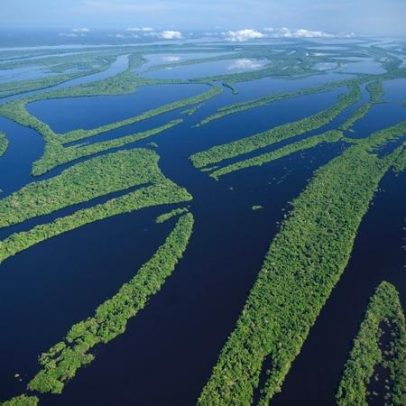 Abertura dos céus na Amazônia pode oficializar rotas ilegais, diz sindicato