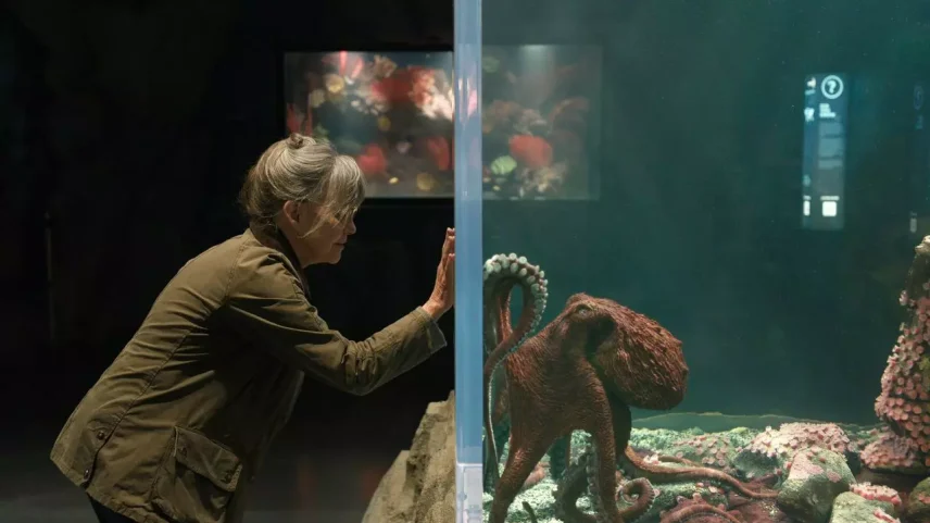 O filme mais emocionante da Netflix vai partir seu coração e reconstruí-lo da forma mais linda possível