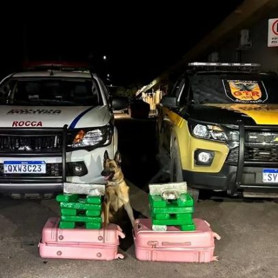 Operação Última Parada prende passageira com droga na LMG-653