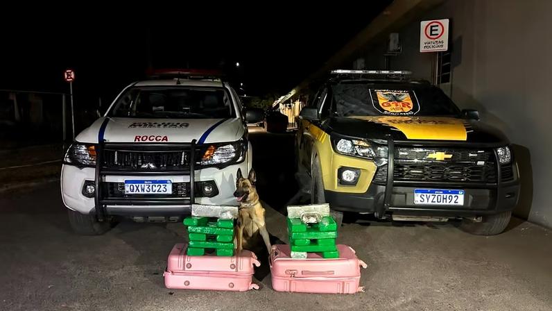 Operação “Última Parada”: passageira de ônibus de turismo é presa com grande quantidade de droga na LMG-653