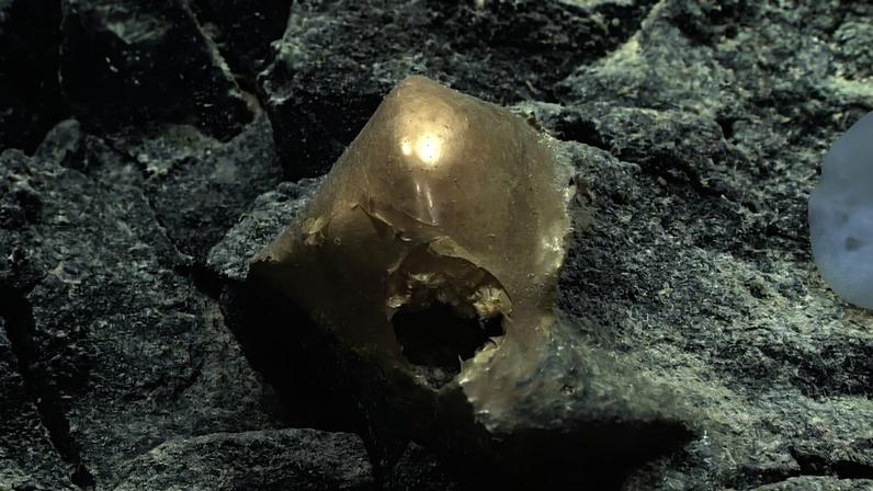 A golden orb found on the ocean floor.