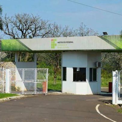IFC Concórdia SC abre 1 vaga de professor de Medicina Veterinária