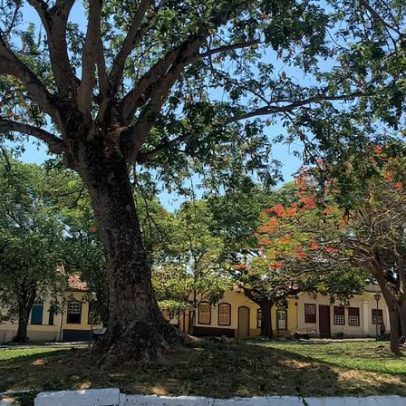 UNESP IGCE Rio Claro abre 1 vaga de professor substituto em Física Geral