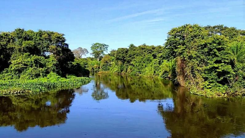 Paisagem do Pantanal sul-mato-grossense ao entardecer, com rio e vegetação ribeirinha