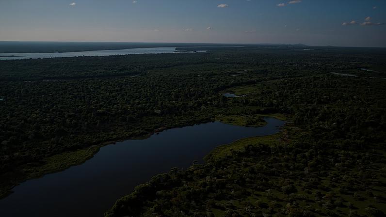Rio Araguaia e vegetação da Ilha do Bananal