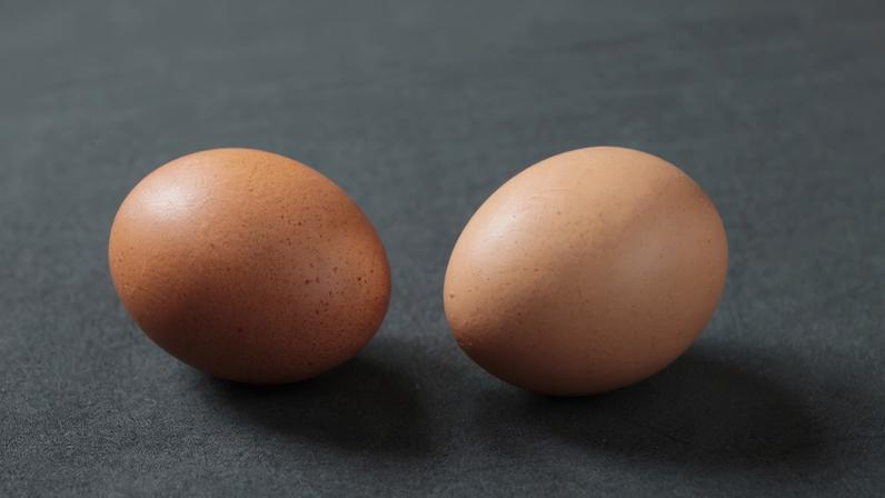 Imagem colorida de dois ovos - Metrópoles