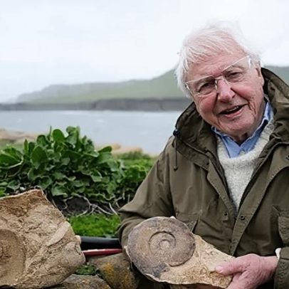 Descobertas de fósseis que despertaram o amor de Attenborough pela natureza