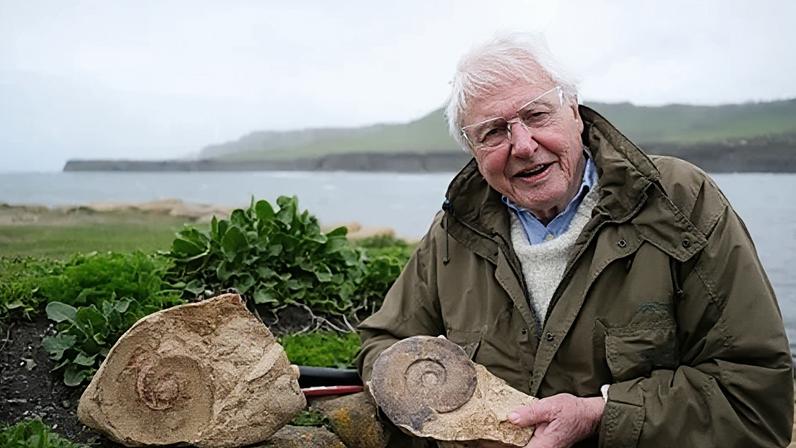 Descobertas de fósseis que despertaram o amor de Attenborough pela natureza