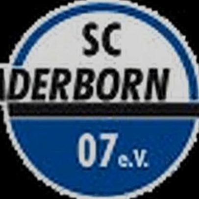 Paderborn 07 enfrenta Wolfsburg pela Bundesliga 25/26