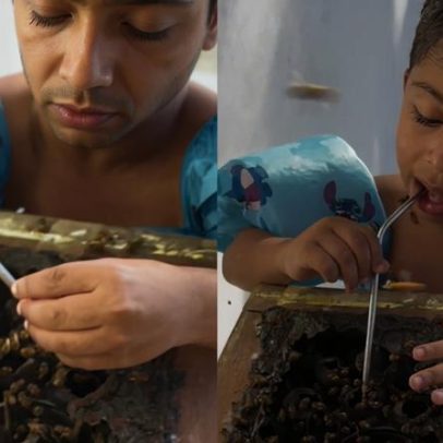 Menino viraliza ao tomar mel direto da colméia com canudinho