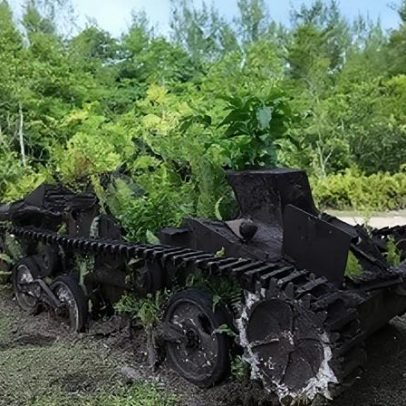 Ilha paradisíaca que foi palco de batalha na Segunda Guerra Mundial