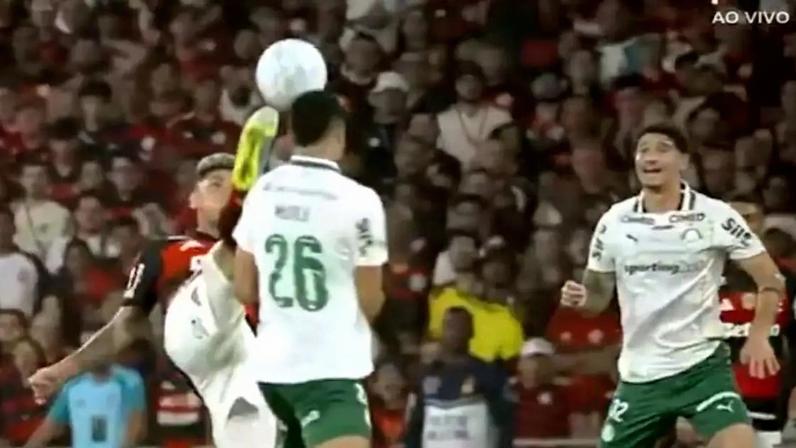 Foto: Reprodução/X/@Palmeiras