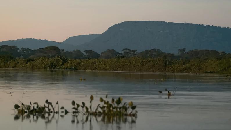 A distribuição temporal das chuvas entre outubro de 2025 e março de 2026 foi cerca de 10% a 12% inferior à média histórica para toda a Bacia | Palê Zuppani/ICMbio