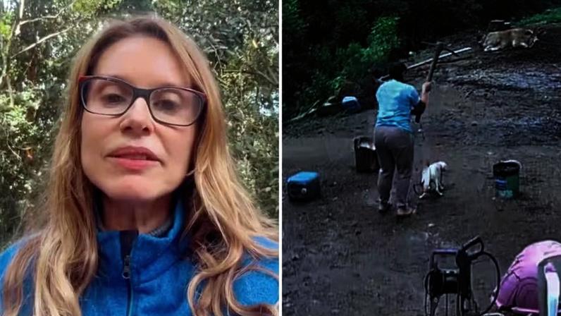 Ativista, Paula Burlamaqui comemora prisão preventiva de mulher que matou cão com picareta: 'Justiça foi feita' — Foto: Reprodução/ Divulgação