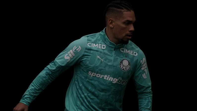 Paulinho em ação pelo Palmeiras na partida contra o Cruzeiro