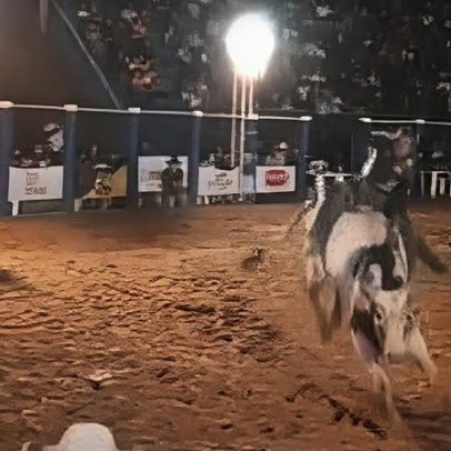 Peão morre pisoteado por touro em rodeio de Rondônia