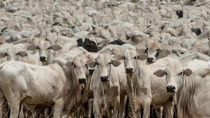 Brasil ainda pode voltar à lista de exportadores se provar que respeita as normas sanitárias