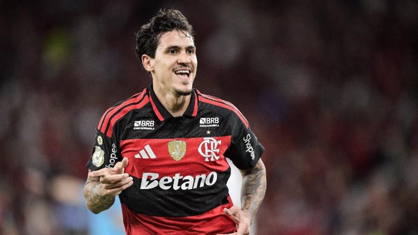 Pedro comemora gol do Flamengo