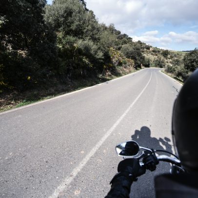 Motociclista que atropelou anta recebe indenização de R$ 80 mil