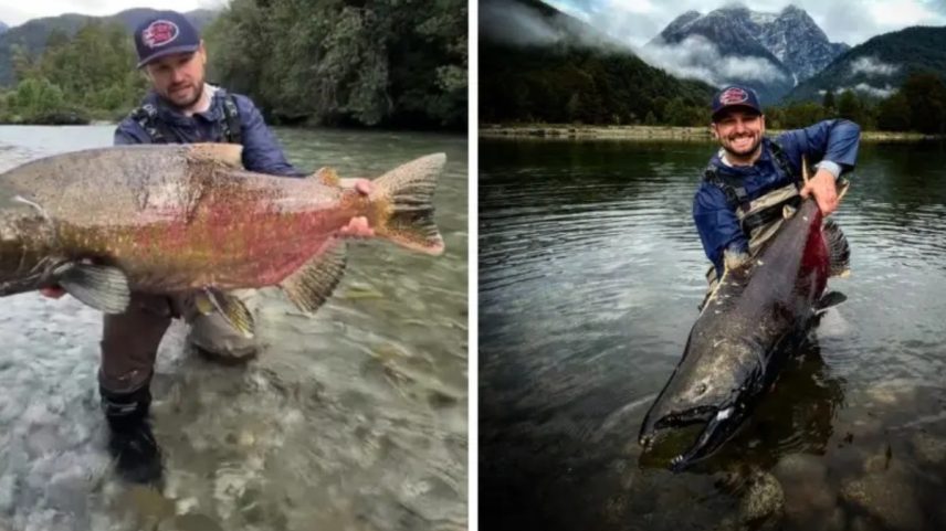 Imagem colorida, pescador de SC realiza sonho e fisga maior salmão do mundo- Metrópoles