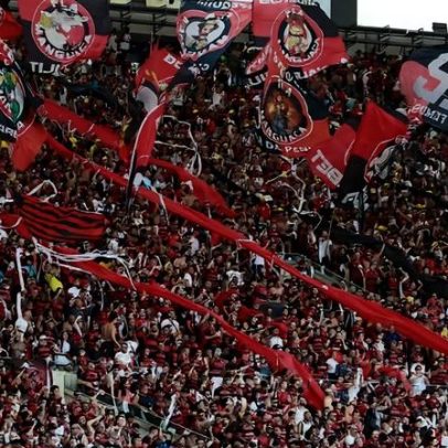 Como o cérebro reage ao torcer por futebol, segundo a ciência