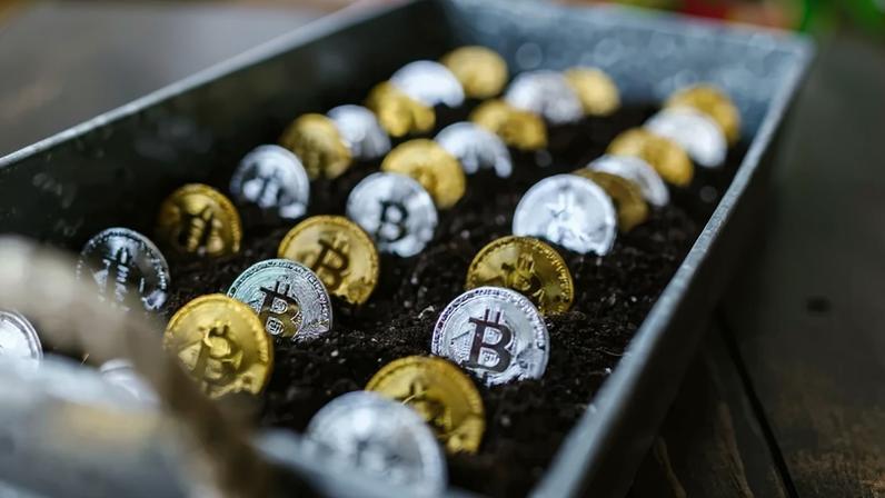 Cripto - moedas digitais — Foto: Pexels/Rodnae Productions