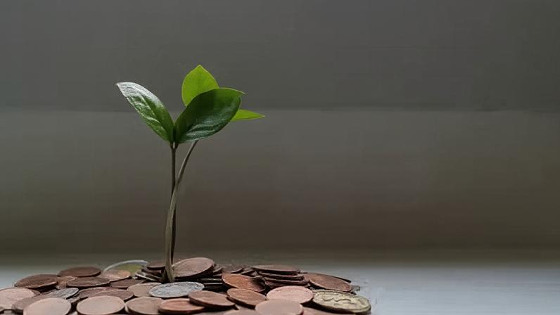 Japão revisa regras de green bonds e amplia elegibilidade de projetos