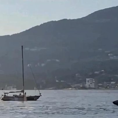 Piloto de jet ski colide com baleia e cai no mar no Canadá