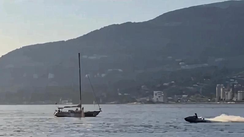 Piloto de jet ski colide com baleia no Canadá e é lançado ao mar