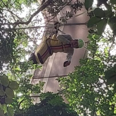 Piloto de asa-delta fica preso em árvore ao voar até o Cristo Redentor