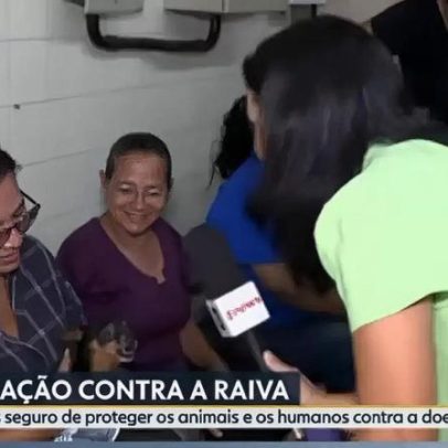 Pinscher rouba a cena em entrevista ao vivo sobre vacinação contra raiva