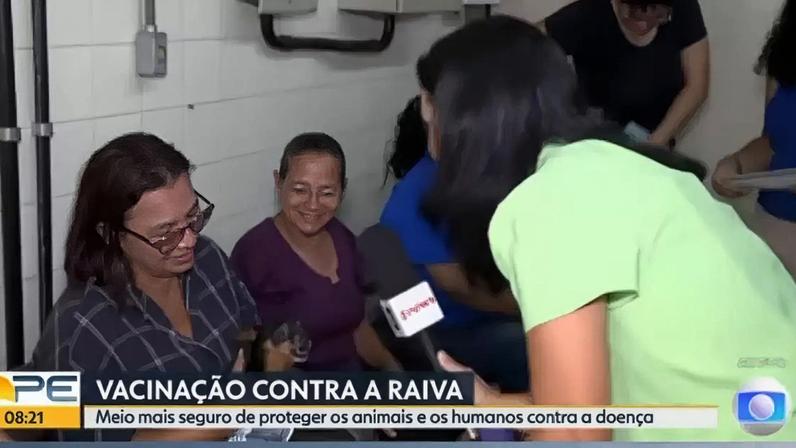 Pinscher rouba a cena durante entrevista para o Bom Dia PE