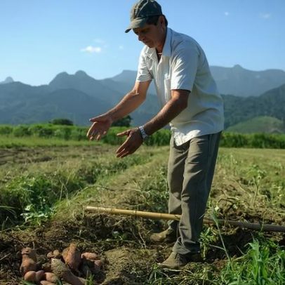 Governo se opõe ao projeto de renegociação de dívidas do setor agro