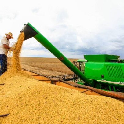 Agronegócio planeja reformular Plano Safra para evitar inadimplência