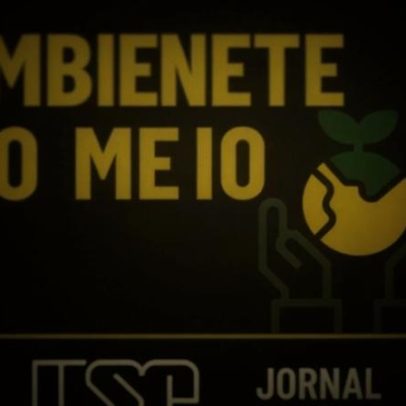Desinformação se torna desafio central no jornalismo ambiental