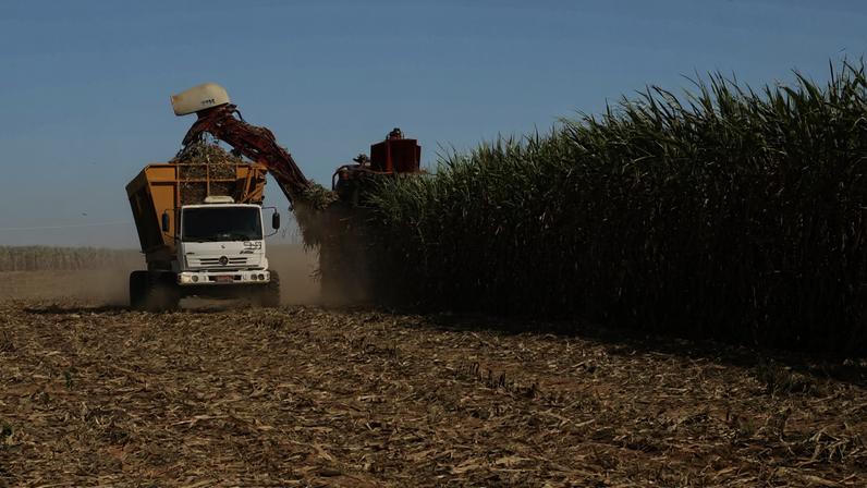 Governo do Paraguai quer incentivar produção de cana-de-açúcar local