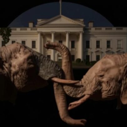 Temporada eleitoral chega oficialmente a Trumpworld