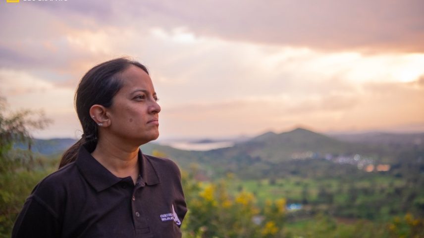 Krithi Karanth atua como conservacionista na Índia há mais de duas décadas