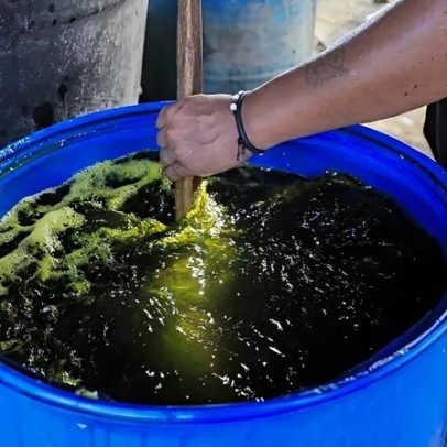 Colômbia enfrenta danos por envenenamento que afetam o país
