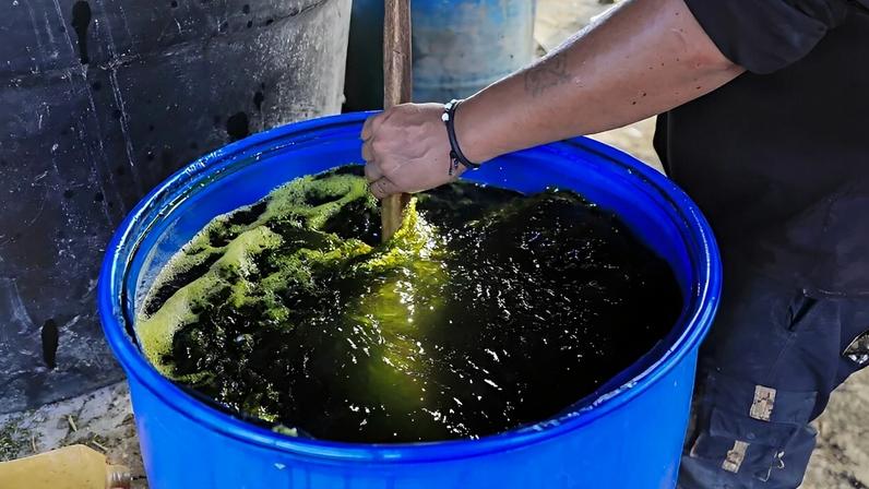 Laboratório de processamento de folhas de coca no Vale de Guamuez, na Colômbia. (Foto: Carlos Ortega/EFE)