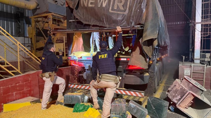 Imagem colorida,PRF apreende 450 tabletes de cocaína escondidos em carga de milho - Metrópoles