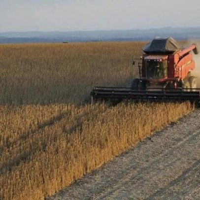 El Niño pode elevar preços internacionais do agro em 2026, diz especialista