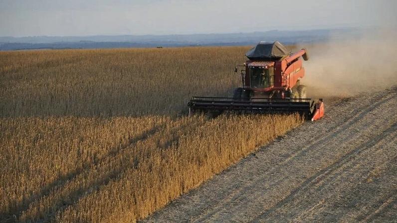 Na imagem, colheita de grãos em produção rural